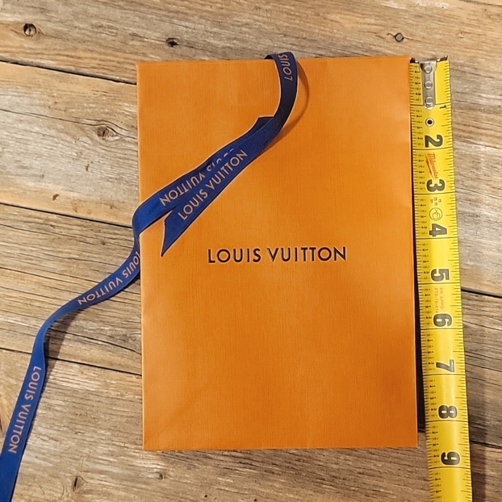 Louis Vuitton Gift Bag